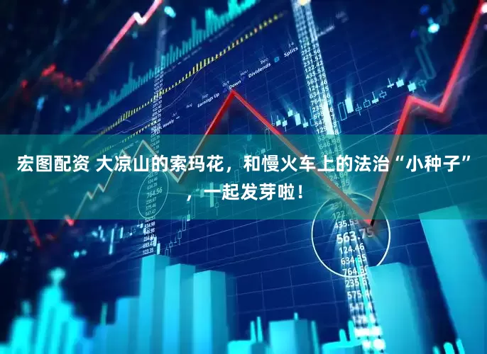 宏图配资 大凉山的索玛花，和慢火车上的法治“小种子”，一起发芽啦！