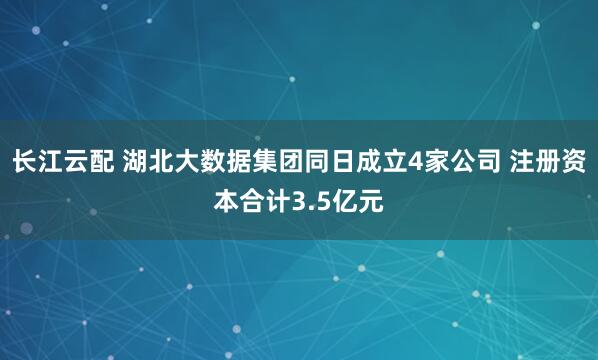 长江云配 湖北大数据集团同日成立4家公司 注册资本合计3.5亿元
